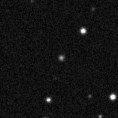 2021lpa_image