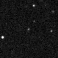 2021lpp_image