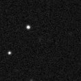 2021lsg_image