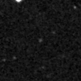 2021lsl_image