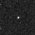 2021lsz_image