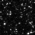 2021lti_image