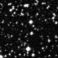 2021ltp_image