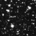 2021lwj_image