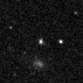 2021lyq_image