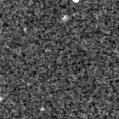 2021lys_image