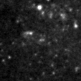 2021lzk_image