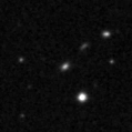 2021maf_image