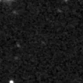 2021mbv_image