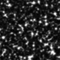 2021mcx_image