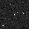 2021mdx_image