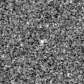 2021mgd_image