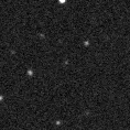 2021mlc_image