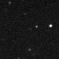 2021mld_image