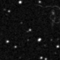 2021mmw_image