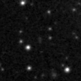 2021msr_image