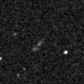 2021msw_image