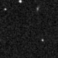 2021nbl_image