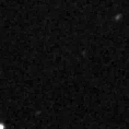 2021ncq_image