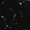 2021nef_image