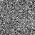 2021ner_image