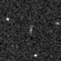 2021nfd_image
