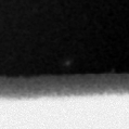 2021ngn_image