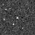 2021nhm_image