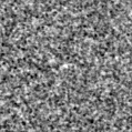 2021nhw_image