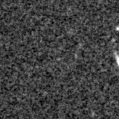 2021njb_image