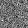 2021npq_image