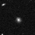 2021npx_image