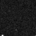 2021npz_image