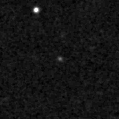 2021nrn_image