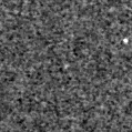 2021nva_image