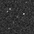 2021nvf_image