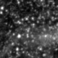 2021nwi_image