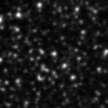 2021nwj_image