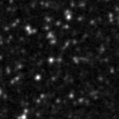 2021nws_image