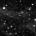2021nww_image
