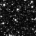 2021nxx_image