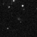 2021nyf_image