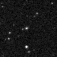 2021nyi_image