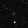 2021nzm_image
