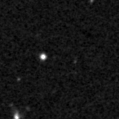 2021nzw_image