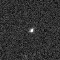 2021oel_image