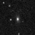 2021ogh_image