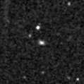 2021ols_image