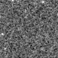2021omf_image
