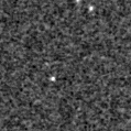 2021oph_image